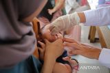 Petugas Pusat Kesehatan Masyarakat (Puskesmas)  memberikan vitamin A kepada anak bawah lima tahun (balita) saat berlangsung bulan imunisasi anak  di Posyandu Kuta Alam, Banda Aceh, Aceh, Selasa (5/8/2025). Kegiatan bulan imunisasi pada Agustus 2025 disertai pemberian vitamin A pada anak itu memberikan  vaksin Bacillus Calmette-Guerin (BCG) dan  vaksin Pneumococcal Conjugate Vaccine (PCV) bertujuan untuk mencegah penyakit tuberkulosis (TB) dan pencegahan infeksi bakteri dan virus  yang dapat menganggu pertumbuhan anak. ANTARA FOTO/Ampelsa.