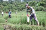 Kementerian ATR/BPN canangkan GEMAPATAS di 23 kabupaten/kota