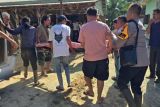 Sumatran elephant crushes Riau woman to death: BKSDA