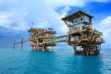 Legislator DPR RI: Pertamina berkontribusi besar pada swasembada energi