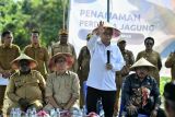 Menkop : KDMP motor penggerak ketahanan pangan dan kemajuan desa