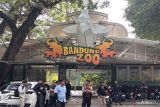 Mantan Sekda: Bandung Zoo tak bayar sewa pada periode 2008-2013