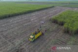 Foto udara petani memanen tebu di Jatitujuh, Majalengka, Jawa Barat, Senin (11/8/2025). Menteri Pertanian (Mentan) Andi Amran Sulaiman mendorong percepatan swasembada gula nasional dalam waktu maksimal tiga tahun melalui langkah deregulasi, intensifikasi, serta perluasan lahan tebu dengan alokasi anggaran sebesar Rp30 triliun hingga Rp40 triliun untuk mendukung proyek swasembada gula. ANTARA FOTO/Dedhez Anggara/agr
