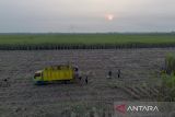 Foto udara petani memanen tebu di Jatitujuh, Majalengka, Jawa Barat, Senin (11/8/2025). Menteri Pertanian (Mentan) Andi Amran Sulaiman mendorong percepatan swasembada gula nasional dalam waktu maksimal tiga tahun melalui langkah deregulasi, intensifikasi, serta perluasan lahan tebu dengan alokasi anggaran sebesar Rp30 triliun hingga Rp40 triliun untuk mendukung proyek swasembada gula. ANTARA FOTO/Dedhez Anggara/agr
