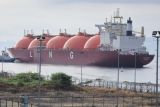DSLNG memasok lima kargo LNG penuhi kebutuhan gas domestik
