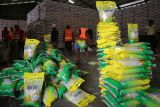 Pekerja melakukan proses pengantongan beras  Stabilisasi  Pasokan Harga Pangan (SPHP) di gudang Perum Bulog Kanwil Aceh, kabupaten Aceh Besar, Aceh, Selasa (12/8/2025).  Perum Bulog Aceh mencatat  realisasi penyaluran  beras SPHP hingga Agustus 2025 mencapai 1.088 ton dan stok untuk program stabilitas harga di daerah itu dinyatakan  aman karena  Bulog Aceh telah menyiapkan sebanyak 27.000 ton beras  untuk program SPHP hingga Desember 2025. ANTARA FOTO/Ampelsa.
