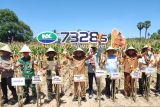 Pemkab Gowa panen raya jagung di Bontonompo dukung ketahanan pangan nasional