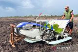 Brigade Pangan, Kementan pacu petani milenial kelola pertanian modern
