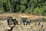 Kemenhut hentikan tambang emas ilegal di hutan Sulteng