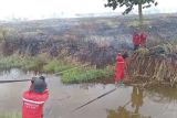 BPBD: Ogan Ilir dan Musi Banyuasin kategori zona merah karhutla