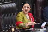 Puan tegaskan DPR mendukung Presiden Prabowo tindak tambang ilegal