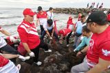 Paguyuban Pimpinan instansi vertikal Sumatera Barat bersihkan sampah Pantai Padang, PLN aktif terlibat