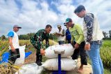 Mentan menegaskan pemerintah jalankan kebijakan pro petani