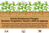 Untuk ketahanan pangan Sumbar targetkan tanam 1.000 ha jagung