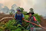 BNPB masih padamkan karhutla di Sumatera Utara seluas 300 Ha