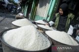 Petugas memeriksa kualitas beras medium saat melakukan inspeksi mendadak (sidak) di Pasar Gerendeng, Kota Tangerang, Banten, Jumat (22/8/2025). Sidak yang dilakukan oleh Badan Pangan Nasional, Satgas Pangan Polri dan Dinas Ketahanan Pangan Kota Tangerang tersebut untuk memantau harga, kualitas beras dan memastikan tidak ada beras oplosan yang dijual oleh pedagang. ANTARA FOTO/Putra M. Akbar/gp