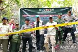BBTNLL libatkan Pemkab-Sigi tutup aktivitas PETI di Sibowi Tanambulava