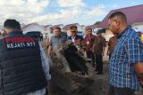 Kejati NTT dan Kementerian PKP temukan kejanggalan pembangunan 2.100 rumah