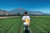 FWLR apresiasi keberhasilan gelaran Rinjani Color Run
