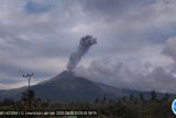 Gunung Lewotobi Laki-laki erupsi empat kali