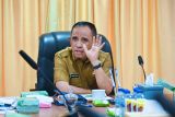 Pemprov Sulteng perkuat koordinasi pengelolaan lingkungan hidup