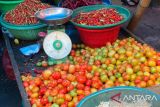 Warga Sulsel diminta tanam tomat dan cabai untuk tekan inflasi