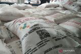 Penyaluran pupuk urea  di Kudus capai 41,87 persen