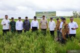 Kemenhan berperan dalam pembangunan PSN lumbung pangan di Wanam