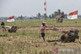 Petani memacu traktor saat lomba balap traktor pesta panen raya di Desa Ciganjeng, Kabupaten Pangandaran, Jawa Barat, Rabu (27/8/2025). Lomba balap traktor sawah yang diikuti petani itu sebagai ajang silahturahmi antar petani perbatasan Jawa Barat dengan Jawa Tengah sekaligus tukar teknologi pertanian dalam mendukung swasembada pangan. ANTARA FOTO/Adeng Bustomi/agr
