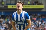 Manchester City kalah dari Brighton di Liga Inggris