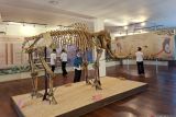 Museum NTT mencatat 5.434 pengunjung hingga Agustus 2025