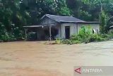 Satu desa di Kotim dilanda banjir luapan sungai