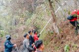 Api bakar sembilan hektare hutan pinus di Agam padam usai hujan