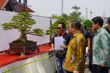 Bupati: Pameran bonsai  diharapkan dorong pertumbuhan ekonomi kreatif