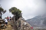Wisatawan mancanegara berjalan di area Kawah Ratu di Taman Wisata Alam (TWA) Gunung Tangkuban Parahu, Kabupaten Subang, Jawa Barat, Sabtu (6/9/2025). Badan Pusat Statistik (BPS) Provinsi Jawa Barat mencatat, wisatawan mancanegara (wisman) yang datang ke Jawa Barat melalui Bandara Internasional Jawa Barat Kertajati pada periode Juli 2025 mencapai 263 kunjungan atau turun 80,73 persen dari periode yang sama pada tahun lalu yang mencapai 1.365 kunjungan. ANTARA FOTO/Abdan Syakura/agr