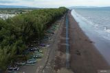 Foto udara sejumlah pengunjung dan nelayan beraktivitas di bibir Pantai yang masih ditumbuhi pohon cemara di Pantai Cemara, Banyuwangi, Jawa Timur, Minggu (7/9/2025). Pengelola wisata Pantai Cemara mengatakan, sejak tahun 2023 abrasi menyebabkan sekitar 4,2 hektar tanaman Cemara yang ditanam sebagai penahan abrasi sekaligus destinasi wisata ini tumbang. Antara Jatim/Budi Candra Setya/um