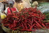 Bapanas: Harga cabai rawit Rp43.396/kg, bawang merah Rp41.976/kg