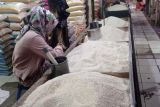 Bapanas: Beras premium turun jadi Rp15.996/kg, medium Rp13.737/kg