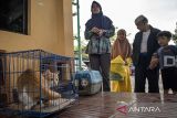 Warga membawa hewan peliharaan saat pelaksanaan Vaksinasi On The Spot Hewan Penular Rabies dan Flu Burung (Siterang) di Melong, Kota Cimahi, Jawa Barat, Kamis (11/9/2025). Dinas Pangan dan Pertanian (Dispangtan) Kota Cimahi menggelar vaksinasi hewan peliharaan secara jemput bola dengan target 1.5000 dosis vaksin rabies dan flu burung untuk hewan peliharaan warga di 15 kelurahan guna mencegah flu burung dan penyebaran rabies pada hewan peliharaan serta mengurangi risiko penularannya kepada manusia. ANTARA FOTO/Abdan Syakura/agr