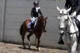 Peserta  melakukan pemanasan sebelum bertanding di kelas dreesage U-16 dalam Turnamen Equestrian di Joyo Stable, Malang, Jawa Timur, Kamis (11/9/2025). Ajang yang diikuti ratusan peserta dari Jawa Timur, Banjarmasin dan Semarang tersebut digelar Pordasi untuk untuk menjaring atlet muda sekaligus memperkuat pembinaan olahraga berkuda serta mendorong potensi wisata berbasis olah raga atau sport tourism di kawasan itu. ANTARA Jatim/Ari Bowo Sucipto/mas.