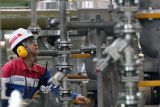 Pertamina: Pengembangan proyek hidrogen hijau dapat serap ratusan pekerja