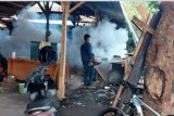 Warga Mataram diminta waspada potensi penyakit di musim hujan