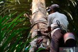 NTB memperkuat ketahanan pangan dan wisata untuk tekan kemiskinan