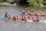 Sejumlah peserta meningkatkan kecepatan mendayung dalam balap paerahu di Sungai Bengawan Solo, Lamongan, Jawa Timur, Minggu (14/9/2025). Lomba yang merupakan rangkaian dari Festival Dayung Tejosari itu diikuti 40 tim dari berbagai kota se-Jawa Timur seperti Pasuruan, Sidoarjo, Bojonegoro, Tuban, dan Lamongan dengan tujuan untuk melestarikan tradisi sekaligus sebagai sarana warga untuk bersilaturahmi. Antara Jatim/Muhammad Mada/um