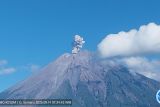 Gunung Semeru empat kali erupsi dengan tinggi letusan hingga 800 meter