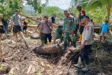 Wagub NTT: Tiga korban banjir bandang di Nagekeo masih dicari tim SAR