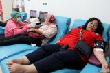 Warga mendonorkan darah di kantor Unit Pelaksana Teknis (UPT) Palang Merah Indonesia (PMI) Kota Malang, Jawa Timur, Rabu (17/9/2025). Kegiatan donor darah dalam rangka memperingati Hari PMI tersebut disertai pembagian sembako dan bingkisan bagi ratusan pendonor sebagai upaya meningkatkan kepedulian sosial serta memenuhi kebutuhan stok darah bagi masyarakat. Antara Jatim/Ari Bowo Sucipto/um