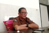 Lombok Tengah sediakan 7 hektare untuk budidaya singkong