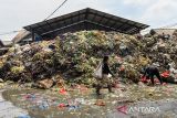 Pemulung melintasi tumpukan sampah Pasar Induk Caringin, Bandung, Jawa Barat, Jumat (19/9/2025). Setelah sempat dibersihkan pada Mei 2025 lalu, tumpukan sampah di Pasar Induk Caringin kembali menggunung dan dikeluhkan oleh pengunjung karena dinilai mengganggu kenyamanan serta berpotensi menimbulkan berbagai macam penyakit. ANTARA FOTO/Raisan Al Farisi/agr