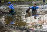 Relawan lingkungan menyisir Sungai Cikapundung untuk mencari sampah dalam peringatan World Cleanup Day di Bandung, Jawa Barat, Sabtu (20/9/2025). Gerakan gotong royong pada peringatan World Cleanup Day (WCD) di Bandung yang diinisiasi oleh River Clean Up tersebut diikuti oleh relawan lingkungan dan pelajar yang diharapkan mampu mendorong kesadaran masyarakat akan lingkungan demi mewujudkan Indonesia bersih pada 2029 dapat terwujud. ANTARA FOTO/Raisan Al Farisi/agr